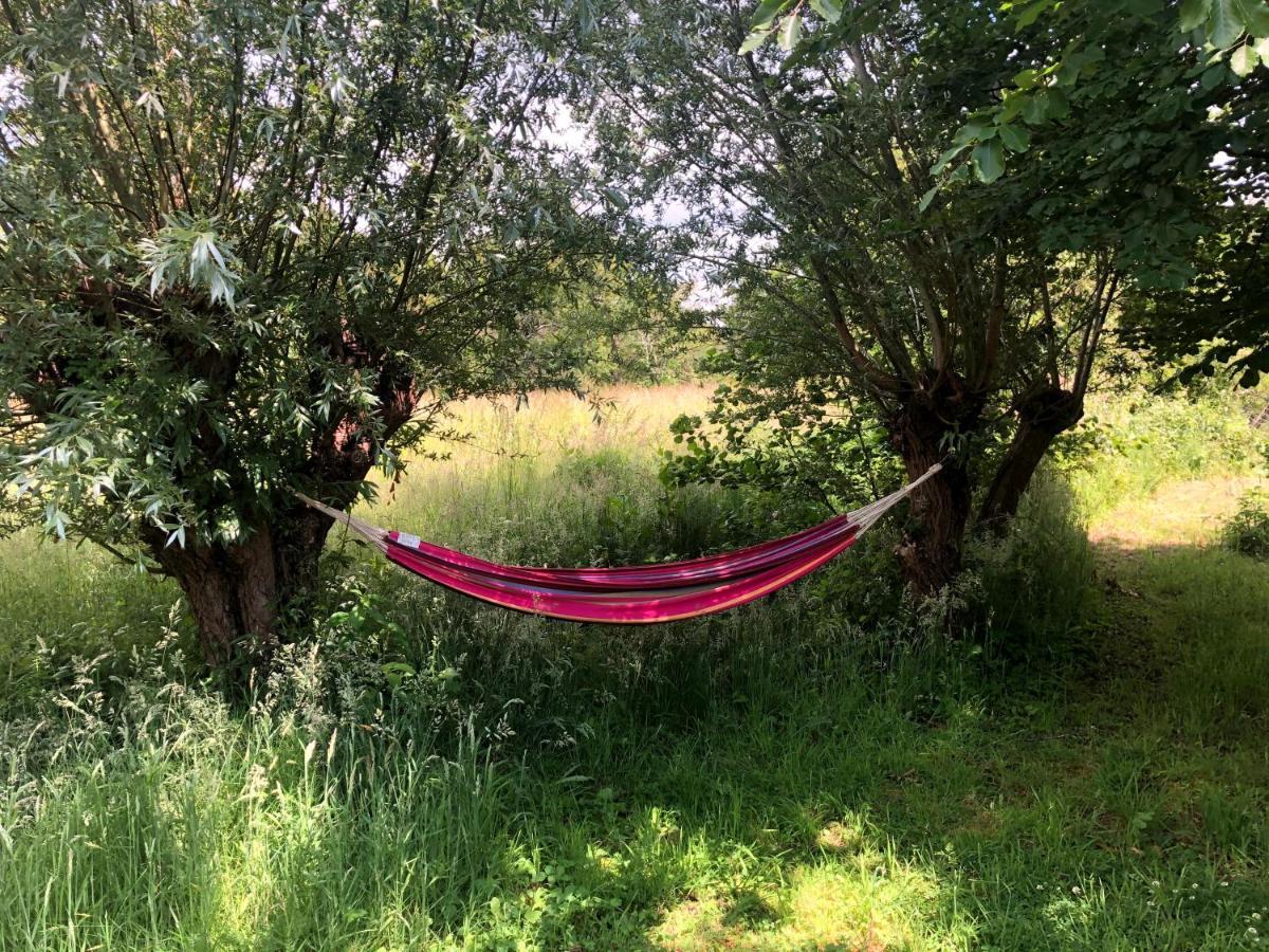 Cottage Duinroos - Dune Rose Oostvoorne Bagian luar foto